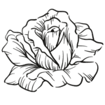 free easy flowers floral printable coloring pages for kids and adults