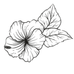 free easy flowers floral printable coloring pages for kids and adults