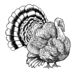 happy thanksgiving coloring pages free